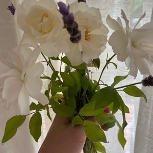 Meet your Posher, Keely